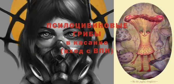 прущие грибы Белокуриха